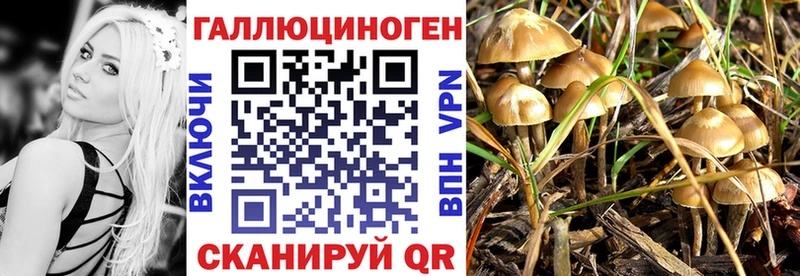Галлюциногенные грибы GOLDEN TEACHER Билибино